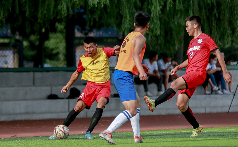 意甲半场：贝尔加利、科伦坡破门，热那亚1-1维罗纳（意甲半场战报：贝尔加利科伦坡各入一球，热那亚暂1-1维罗纳）